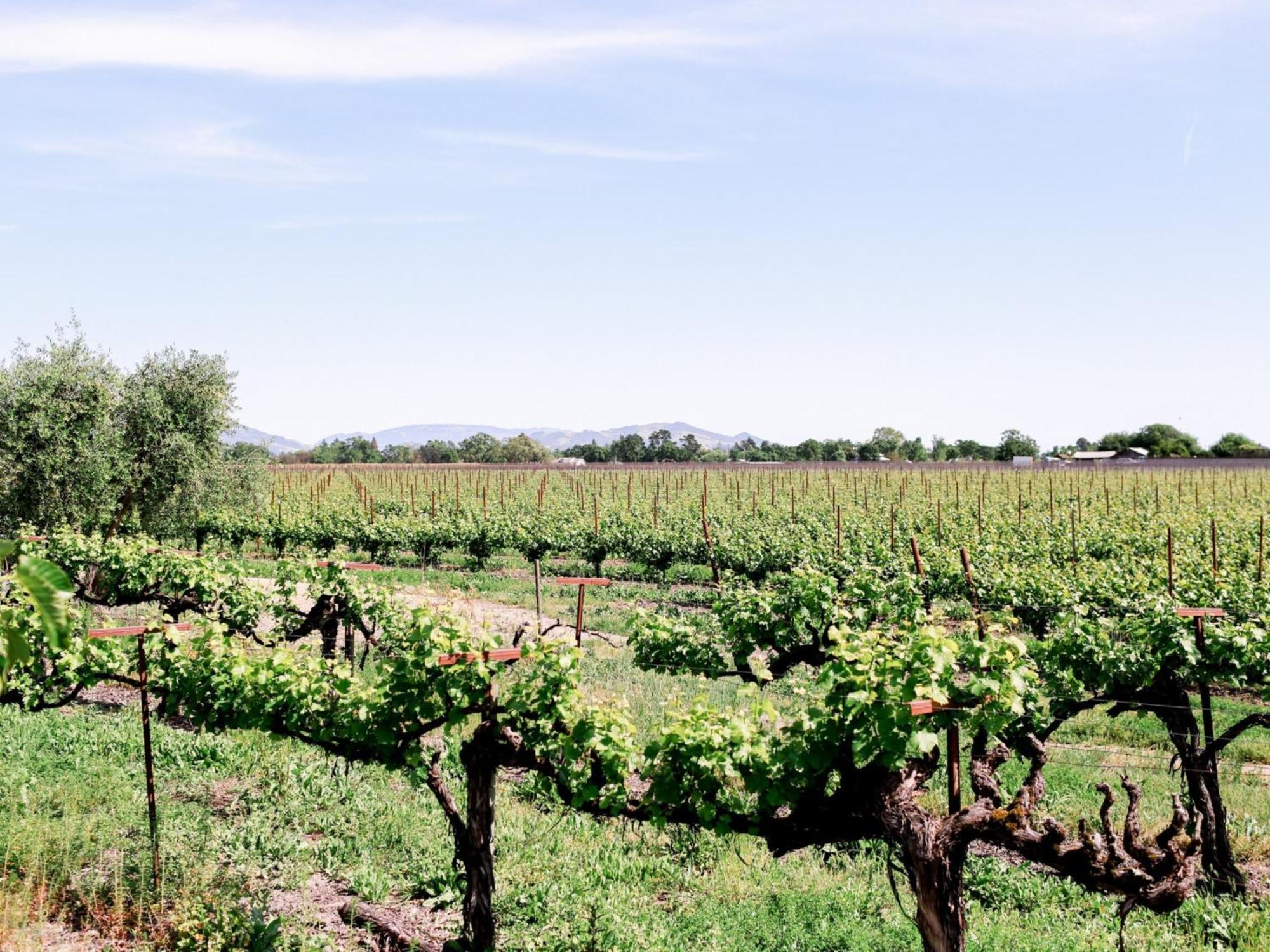 Vintners Resort サンタローザ エクステリア 写真